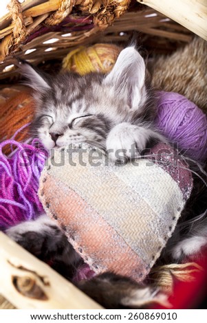 sleeps kitten and heart pillow