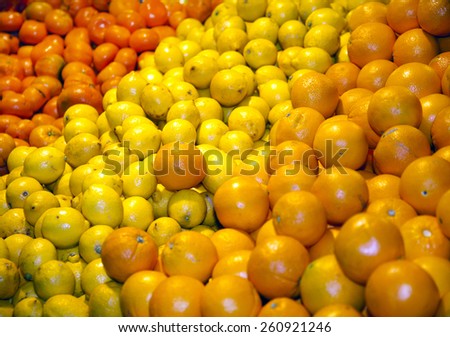 Freshly picked oranges and lemon fruits on market stall