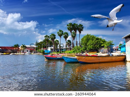 Jamaica. National boats on the Black river. Royalty-Free Stock Photo #260944064