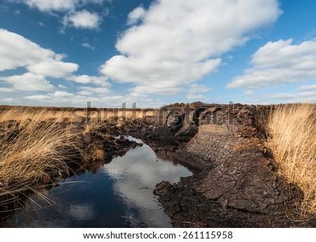 Irish peat bog  Royalty-Free Stock Photo #261115958