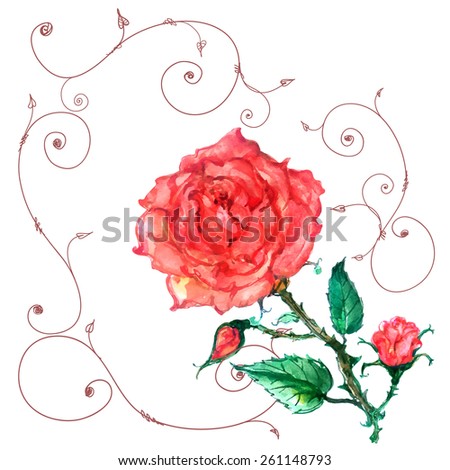 rose in old style