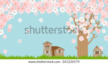 Cherry blossoms scattered and wooden houses on the green grass in spring 
