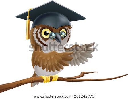 An illustration of a graduate or teacher owl in a mortar board graduate hat 