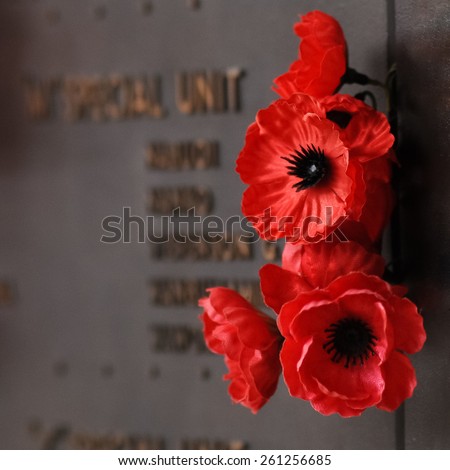 Red poppy to honour veterans in the World War Royalty-Free Stock Photo #261256685