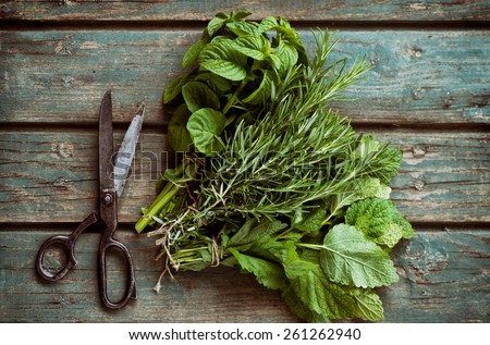Fresh herbs. Melissa, rosemary and mint in rustic setting Royalty-Free Stock Photo #261262940