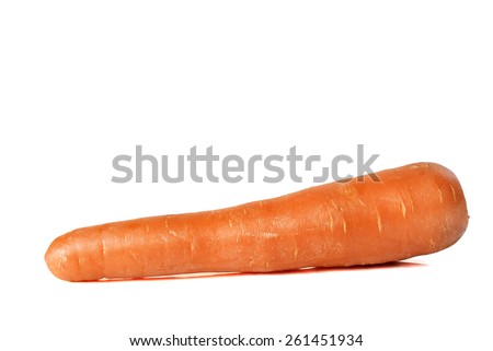 carrot on white background 