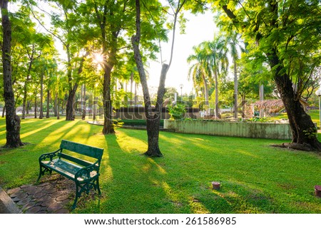 Park and bench for recreation area in the city, Green grass