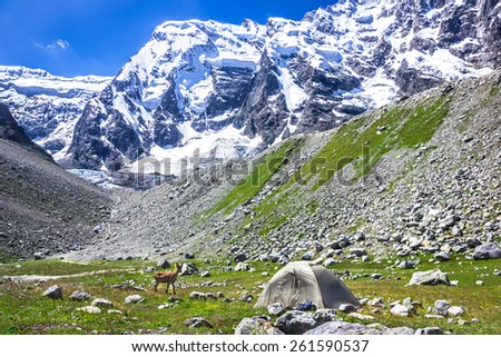 Lonely climbers camp on a background of very high snowy mountains. Picture was taken during a trekking hike in the stunning and majestic Caucasus mountains, Bezengi region, Kabardino-Balkaria, Russia