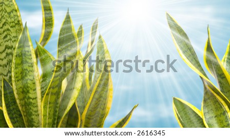 Plants background illustration.