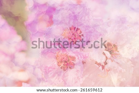 Blurred of flowers in texture soft blur for background with pastel vintage retro style.