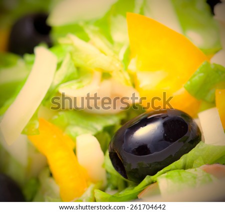 Assorted green leaf lettuce with squid and black olives, close up. instagram image retro style