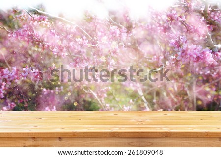 dreamy image of Spring Cherry blossoms tree