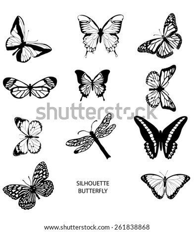 Silhouette set of isolate vector butterflies - vector illustrator