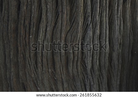 wooden background-focus on center
