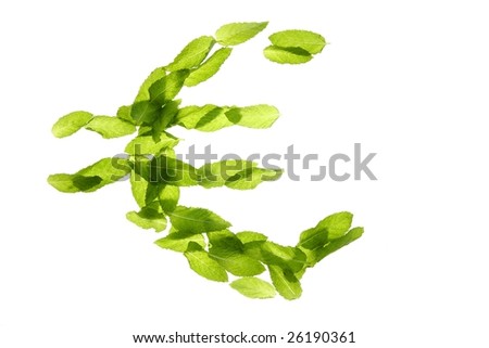 Euro currency symbol made of green basil mint leaves isolated on white studio background