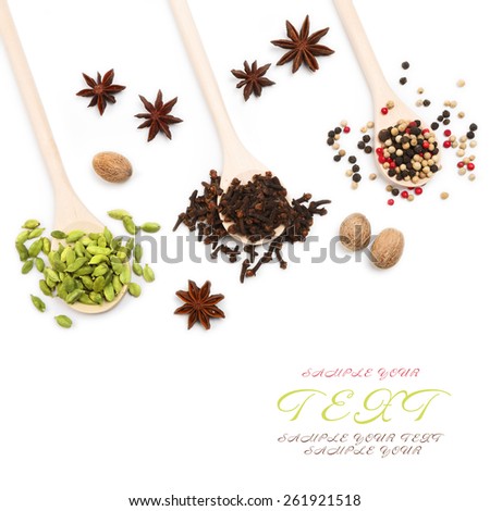 Variety of spices in wooden spoons and place for text at the white background