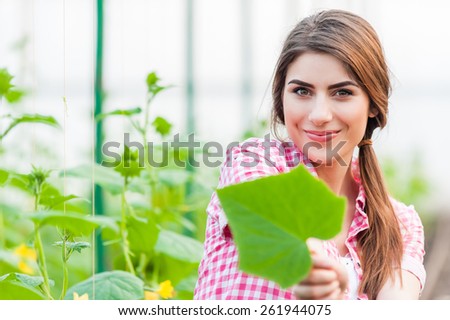 Beautiful young woman gardening and smiling at camera holding a cucumber leaf.