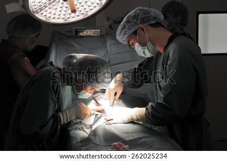 two veterinarian surgeons in operating room,selective color technique