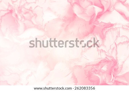 flower on soft pastel color in blur style Royalty-Free Stock Photo #262083356