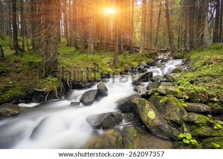 Mountain stream in green forest at spring time

