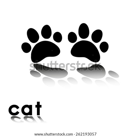cat's paw prints