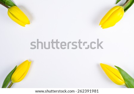 Yellow tulips lying on a white surface - frame