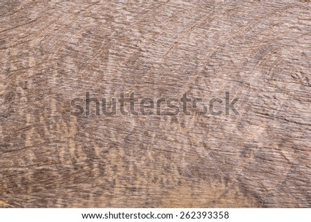 Close-up of wood (bog oak) background.