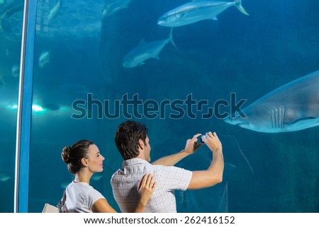 Couple taking photo of shark at the aquarium