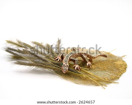 The beautiful decorative lizard on a dry branch and a sheet on a white background