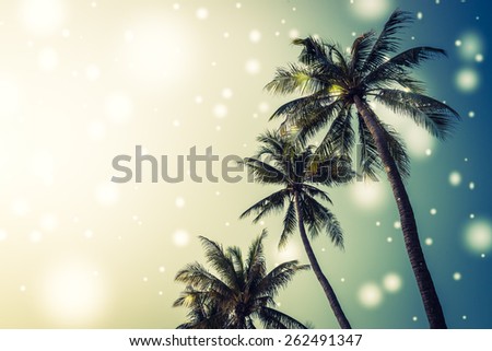 Palm tree - vintage effect style pictures and light leak effect filter and snow effect