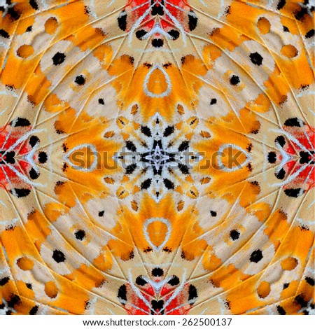 Beautiful symmetric orange and yellow background made of Leopard Lacewing butterfly's wing textures