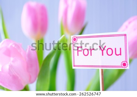 Beautiful pink tulips with tag on light background