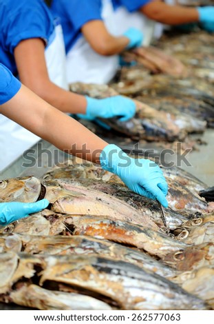 the cutting of a tuna in factory, tuna processing
