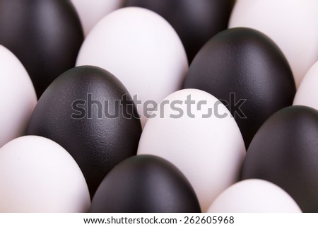 business concept background with a black egg surrounded by normal eggs