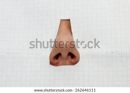 the nose isolated on a white background checkered