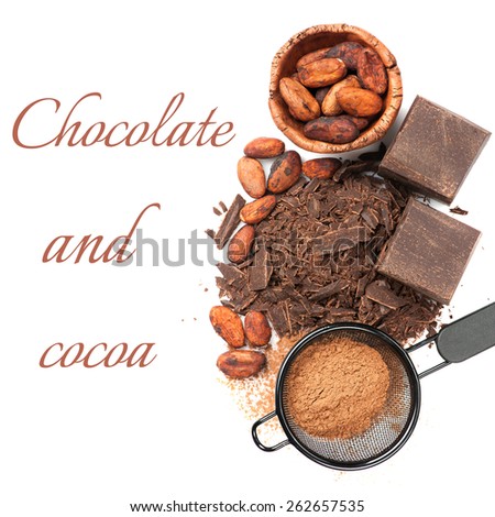 Chocolate and cocoa on a white background