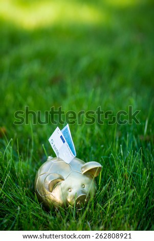 Piggy bank with euro on grass