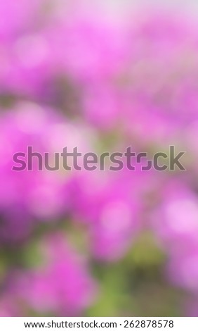 Photo from defocus blur at pink flower garden