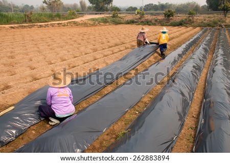 Preparation of land for growing crops Royalty-Free Stock Photo #262883894