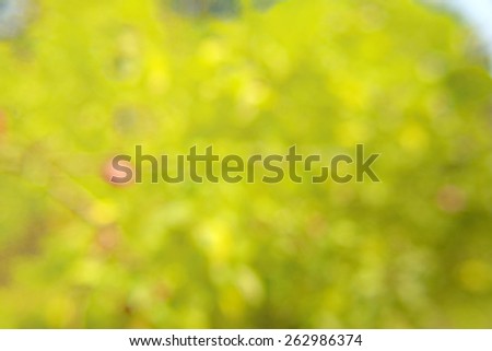 Cheerful colorful background of nature, natural abstract