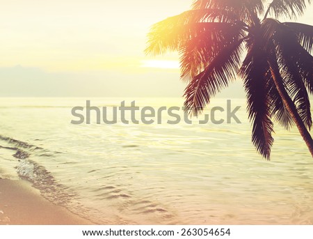 Tropical beach sunset background with palm tree silhouette. Vintage effect.