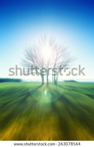 silhouette tree with sunset ,abstract natural background,