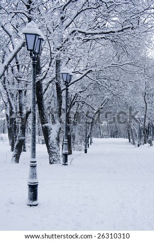 beauty white winter snow landscape