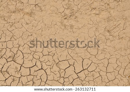 Dry soil of the texture