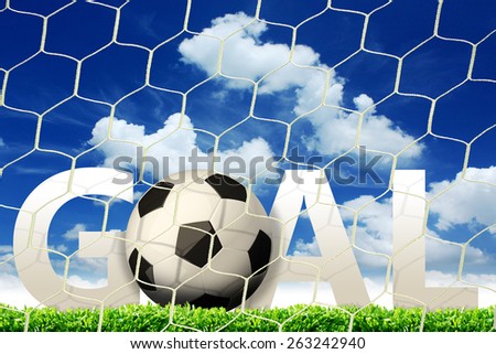 Goal. A soccer ball in a net.