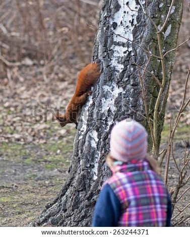 Child Watching squirrel in an urban park