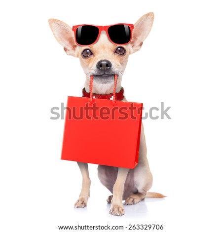 chihuahua dog holding a shopping bag ready for discount and sale at the  mall, isolated on white background