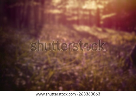 abstract blurry springtime background 