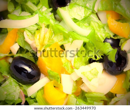 Assorted green leaf lettuce with squid and black olives. Close up. instahram image retro style