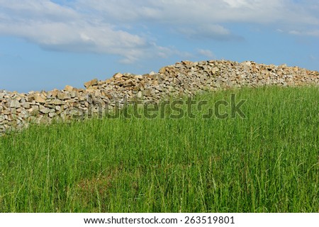 Grass and blue sky with stone wall